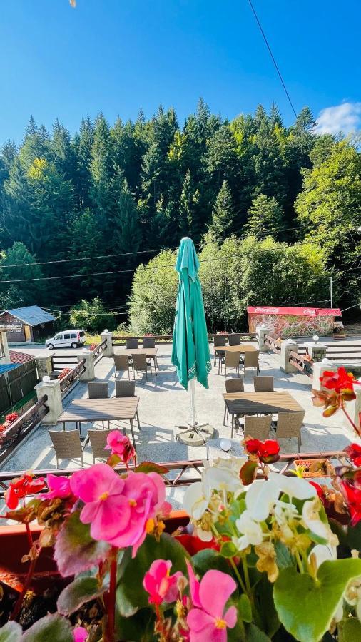 Pensiune & Restaurant Kalinder Buşteni Exteriör bild